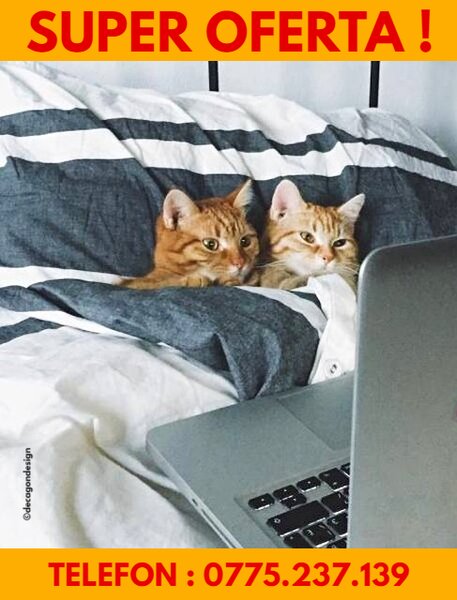 Berceni, Obregia, stradal, 4 minute de Kaufland, 10 de metrou