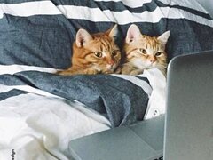 Berceni, Obregia, stradal, 4 minute de Kaufland, 10 de metrou