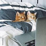 Berceni, Obregia, stradal, 4 minute de Kaufland, 10 de metrou